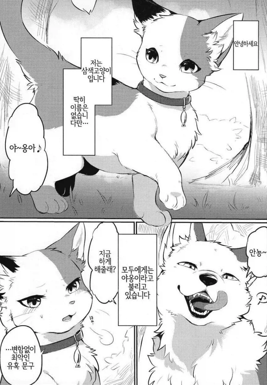 고양이가 사람처럼 생긴 만화.jpg_1.webp