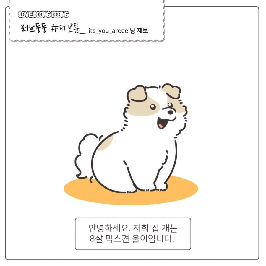 한밤중에 억지로 댕댕이 산책 데려간 만화_1.webp