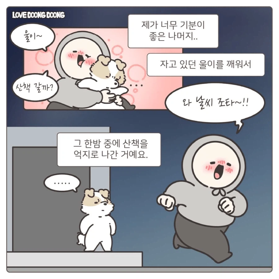 한밤중에 억지로 댕댕이 산책 데려간 만화_4.webp