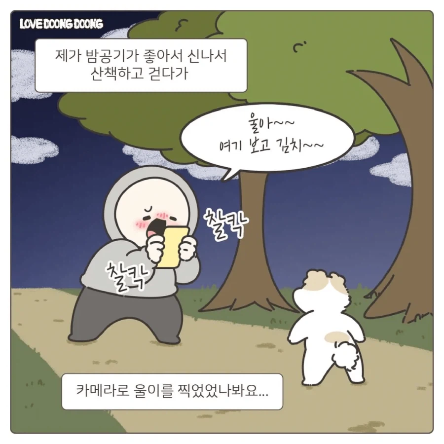 한밤중에 억지로 댕댕이 산책 데려간 만화_5.webp