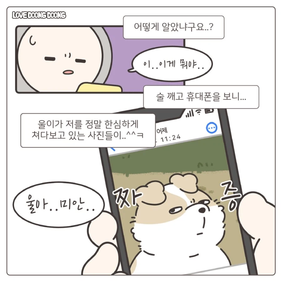 한밤중에 억지로 댕댕이 산책 데려간 만화_6.webp