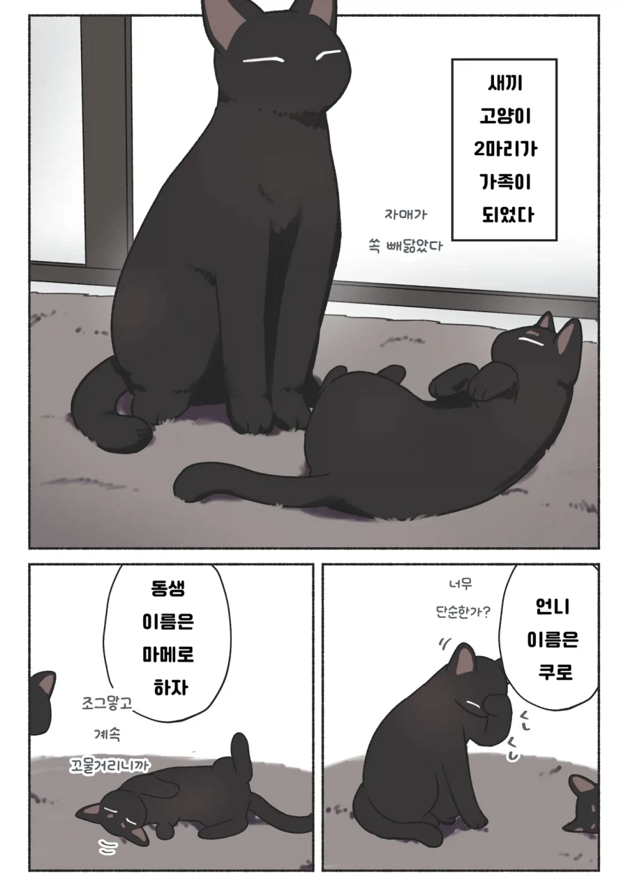 새끼 고양이 2마리 manhwa_1.webp
