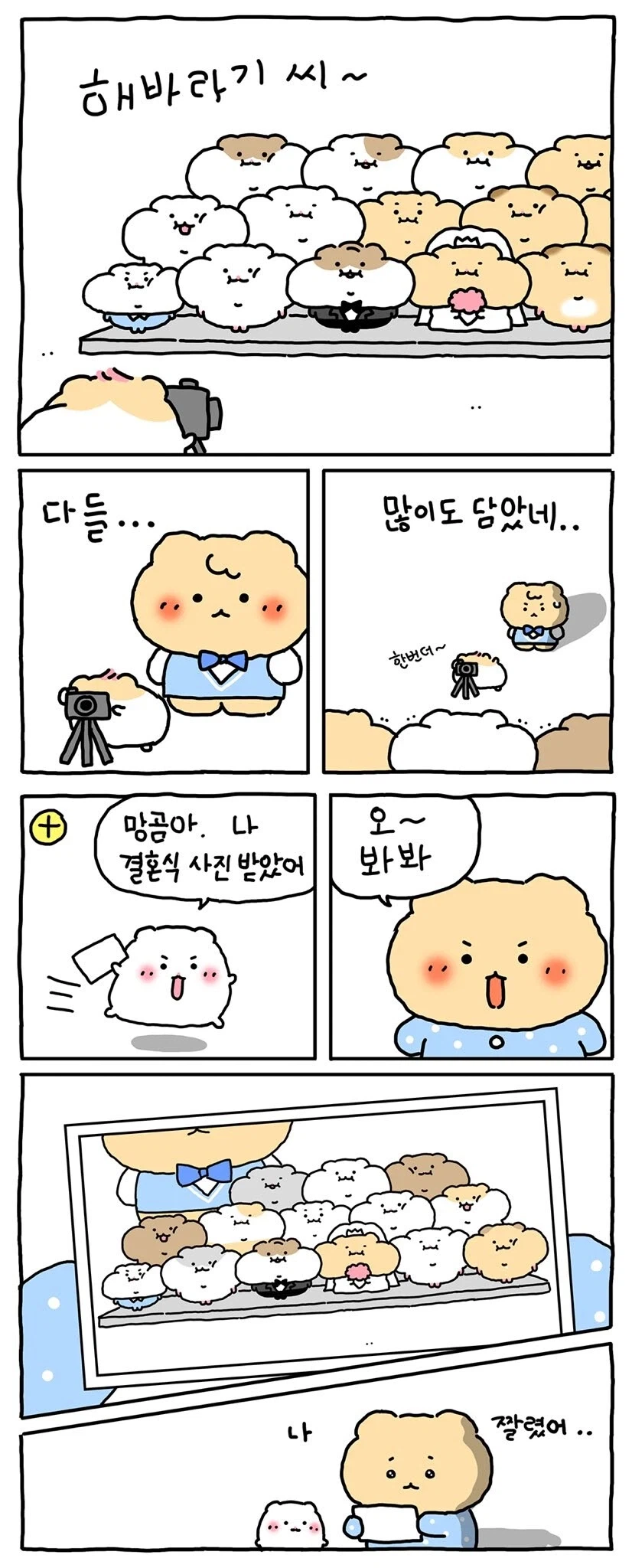햄스터 결혼식 manhwa._5.webp