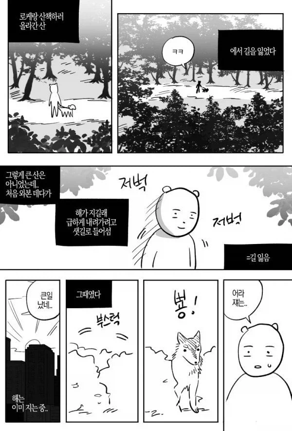 산에서 길잃은 사람을 도와준 유기견.manhwa_1.webp