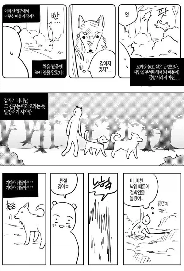 산에서 길잃은 사람을 도와준 유기견.manhwa_2.webp