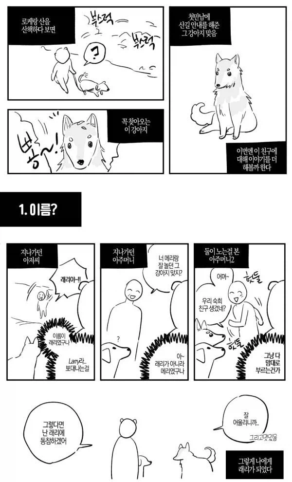 산에서 길잃은 사람을 도와준 유기견.manhwa_5.webp