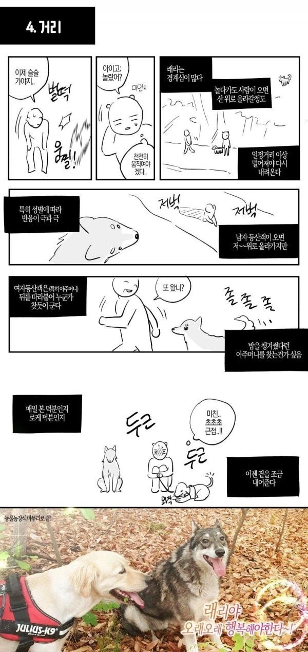 산에서 길잃은 사람을 도와준 유기견.manhwa_8.webp