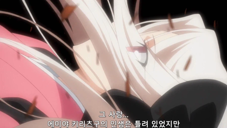 페이트) 아이리스필이 평가한 키리츠구_1.webp