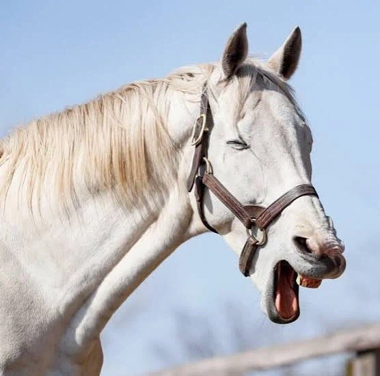 주술회전) 그러니까 이야기 전개가 이렇게 흐른게.._3.webp