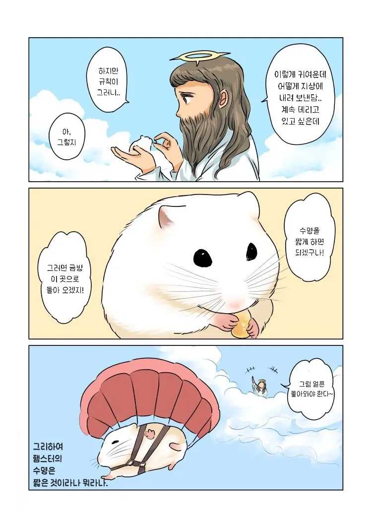 햄스터의 수명이 짧은 이유 .manhwa_2.webp