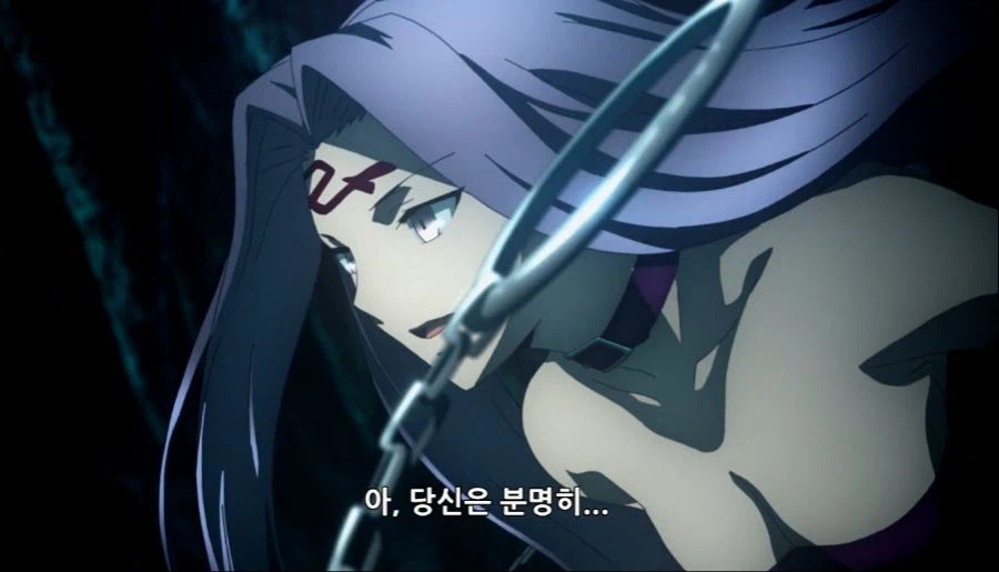 페이트) 저점과 고점차가 세이버보다 큰_5.webp