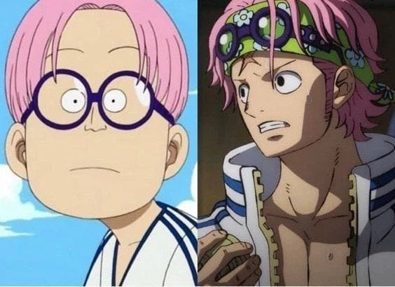 원피스) 코비 디자인 관련 QnA 개웃기네_1.webp