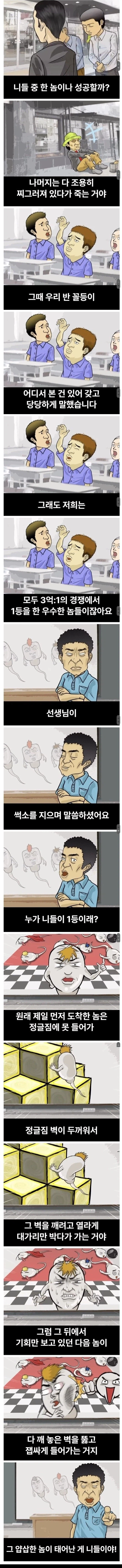 정자를 인간 사회에 빗댄 만와.manhwa_3.webp