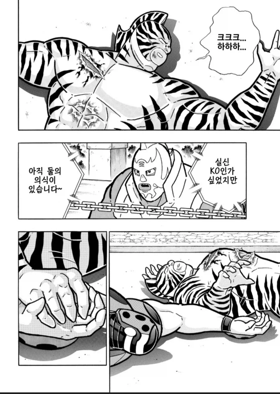 게이 만화 아니냐는 소리 들을 때마다 팬들이 화냈던 만화_5.webp