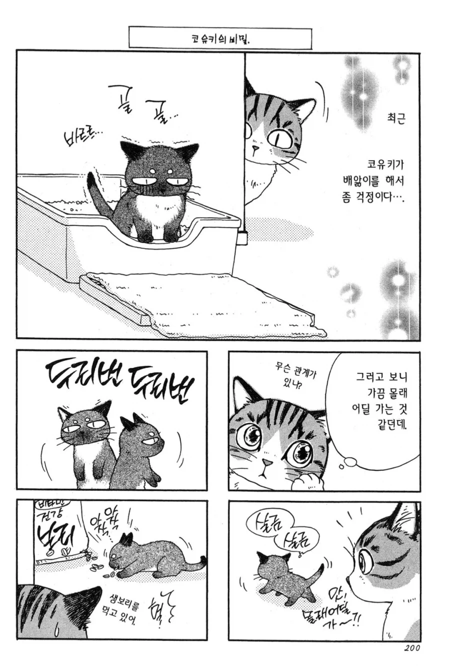 새끼고양이가 배앓이 하는 이유.manhwa_1.webp