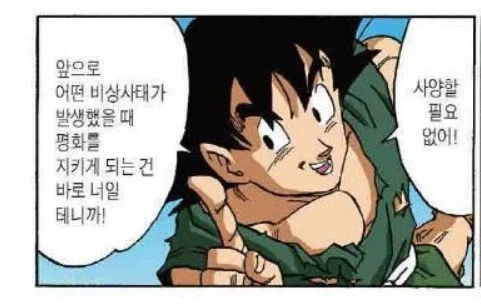 막연하게 드래곤볼을 그때그때 급조된 만화로 알고 보면 놀라는 점_5.webp