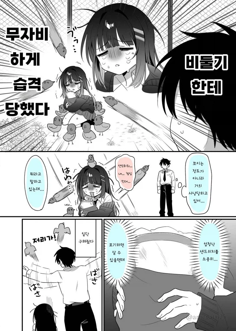키작은 거유 전학생을 비둘기가 사냥하는 만화_2.webp