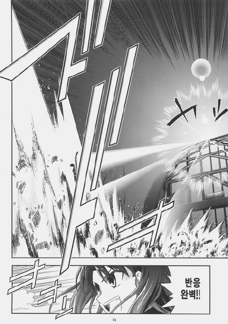 Fate) 시리즈 따끈따끈 신작 만화_11.jpg