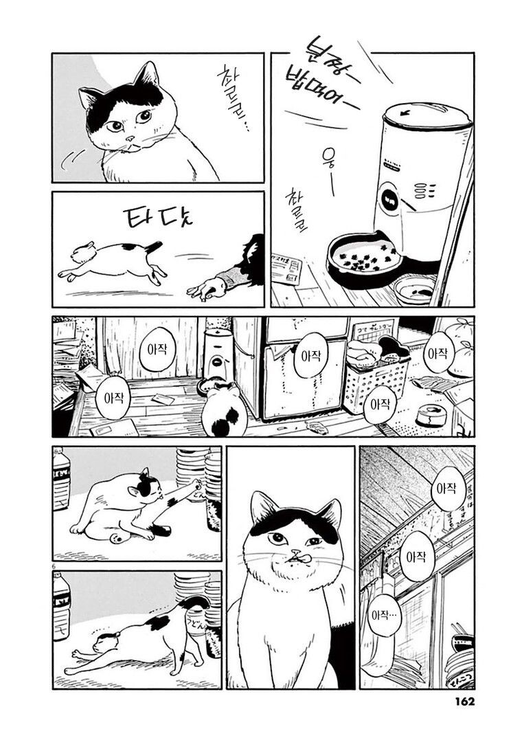 집고양이 분짱의 일년.manga_6.jpg