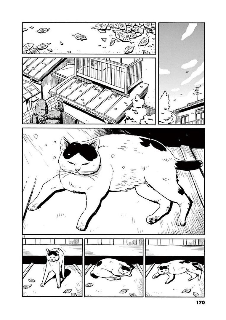 집고양이 분짱의 일년.manga_14.jpg