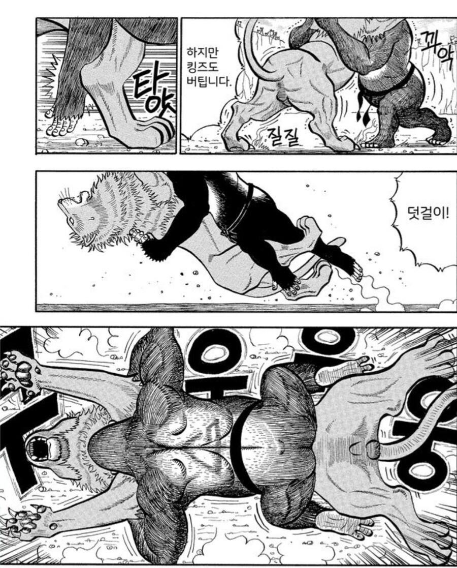 사자에게 인간의 무술이 절대 먹히지 않는 이유.manwha_1.jpg