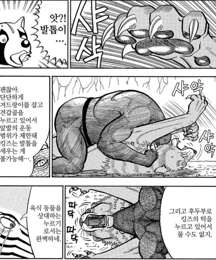 사자에게 인간의 무술이 절대 먹히지 않는 이유.manwha_2.jpg