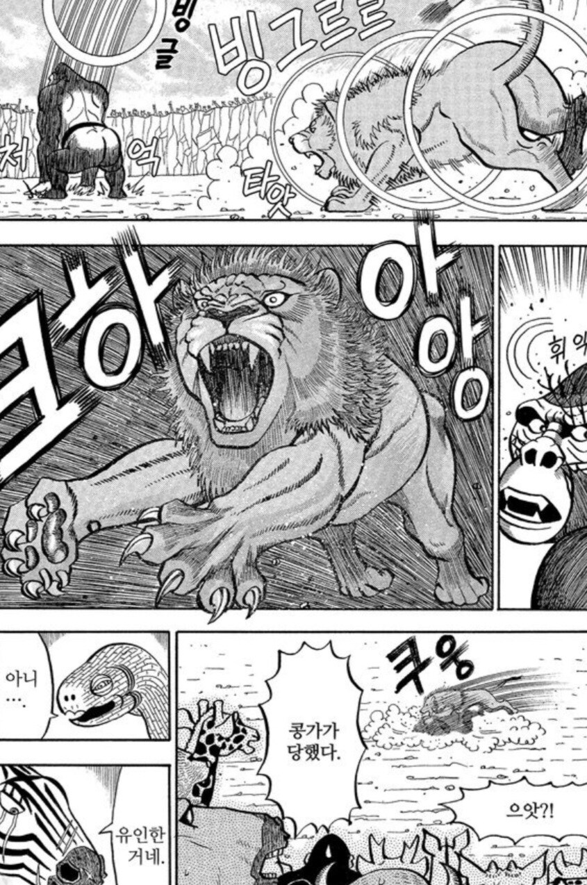 사자에게 인간의 무술이 절대 먹히지 않는 이유.manwha_5.jpg