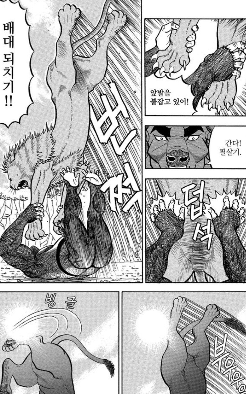 사자에게 인간의 무술이 절대 먹히지 않는 이유.manwha_6.jpg