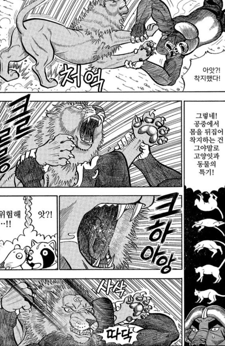 사자에게 인간의 무술이 절대 먹히지 않는 이유.manwha_7.jpg