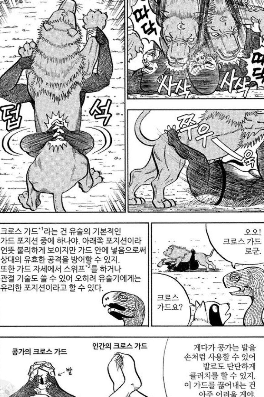 사자에게 인간의 무술이 절대 먹히지 않는 이유.manwha_8.jpg