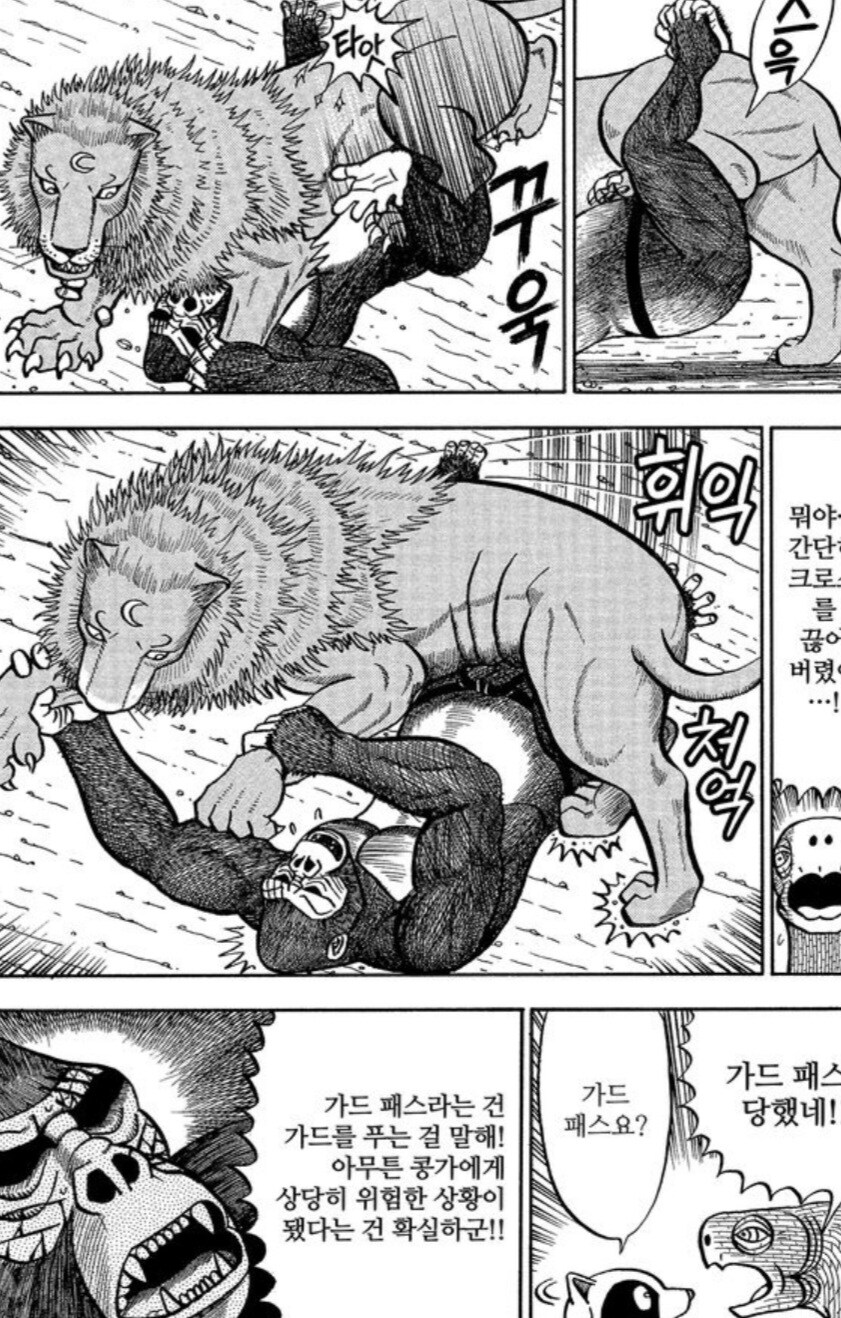 사자에게 인간의 무술이 절대 먹히지 않는 이유.manwha_9.jpg