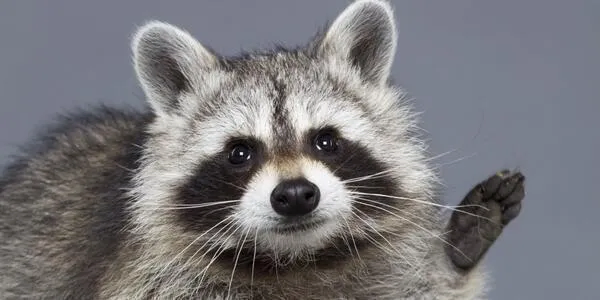 길가에서 토하는 알중녀를 좋아하게된.manhwa_23.webp