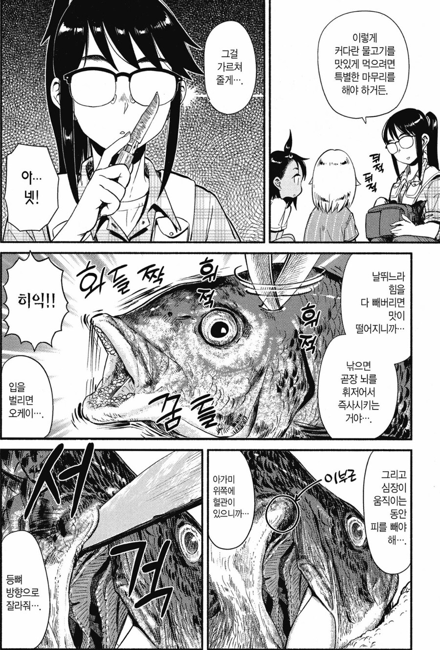 시골 여고생 부활동 만화 특_1.jpg