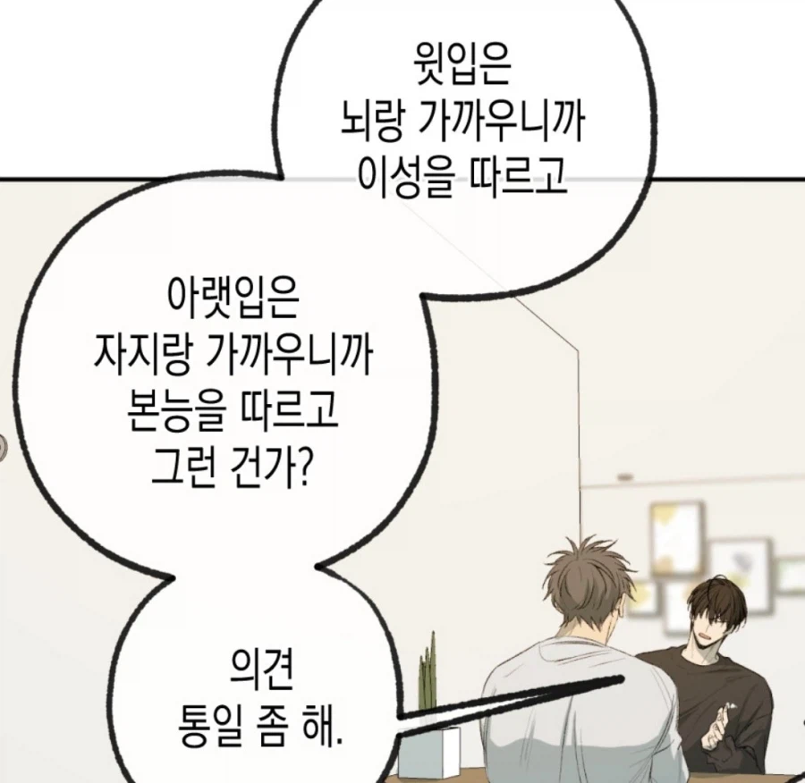 ?? : 분단국가국민_1.webp