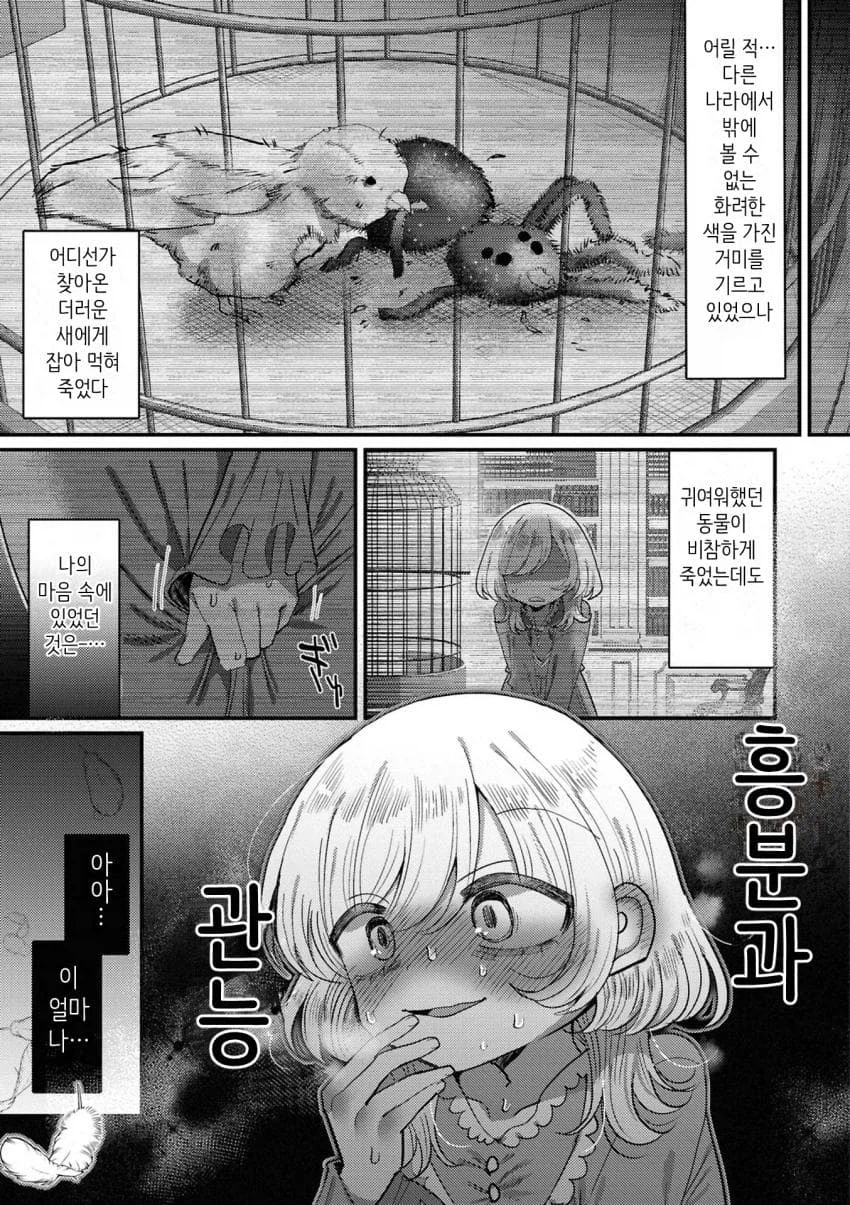 거미여 코스모스여 .manwha_3.webp