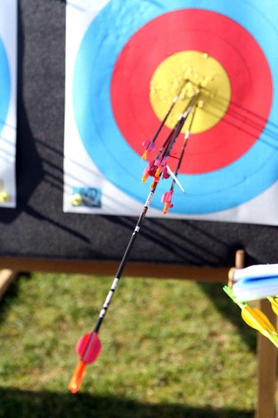 양궁을 조스로 보는 일본 만화_3.webp