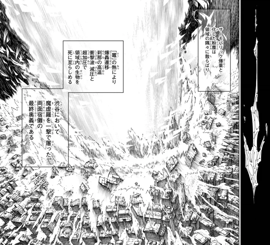 주술회전) 의외로 술사빨을 타고난 술식_2.webp