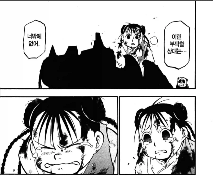 강철의 연금술사)작가가 메이에게 처음부터 시키려 한 역할_3.webp