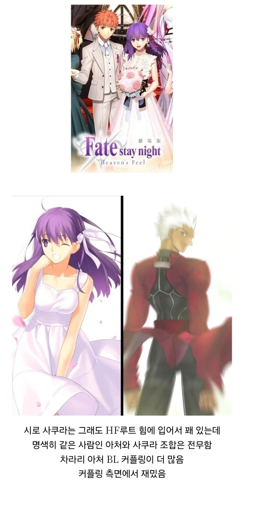 페이트) 루트별 히로인 커플링 차이점_4.webp