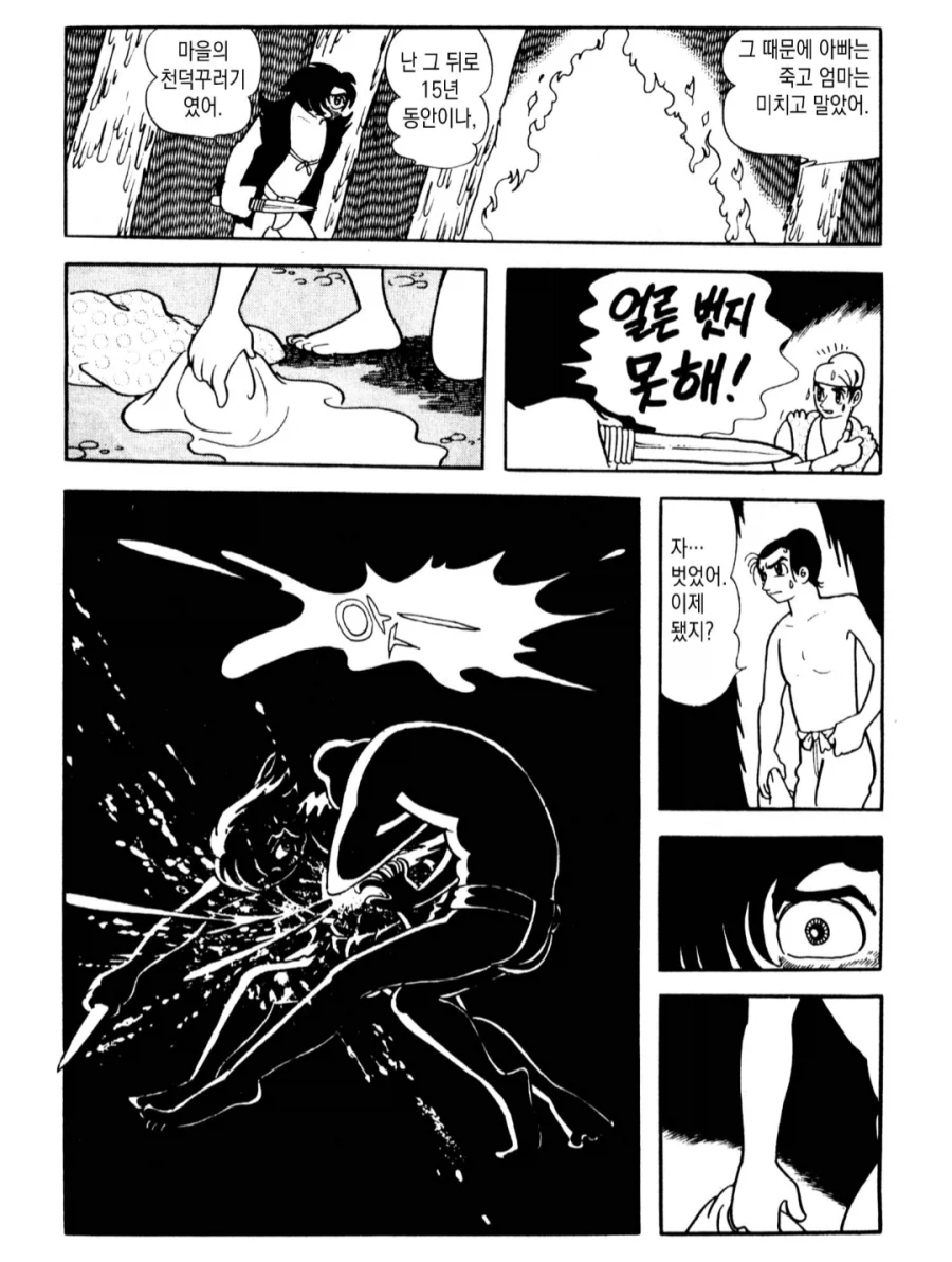 불새 이야기 중 가장 기억에 남은건 봉황 편이었음._2.webp