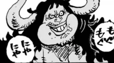 (원피스) 유일하게 예외성 설정을 가진 열매_2.webp