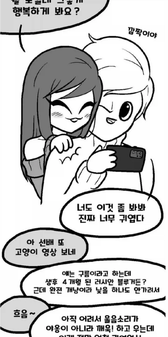 고양이 찾는 만화_3.webp