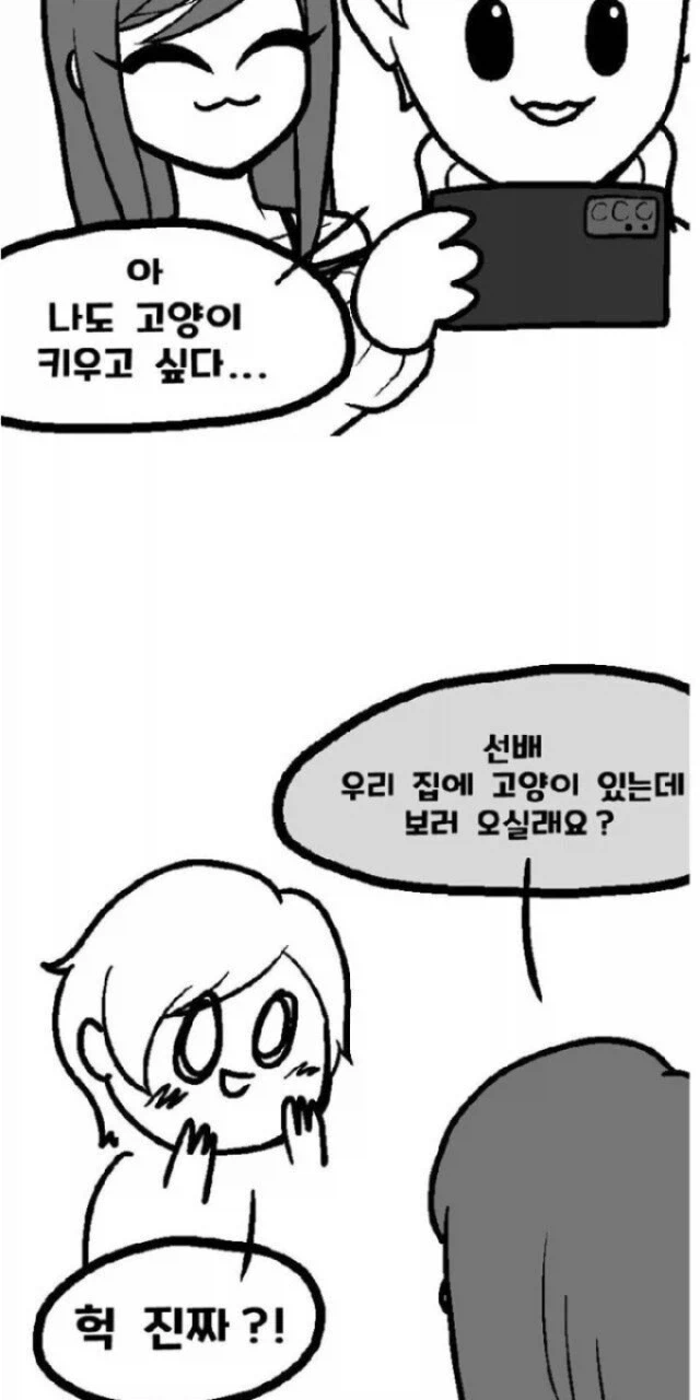 고양이 찾는 만화_5.webp