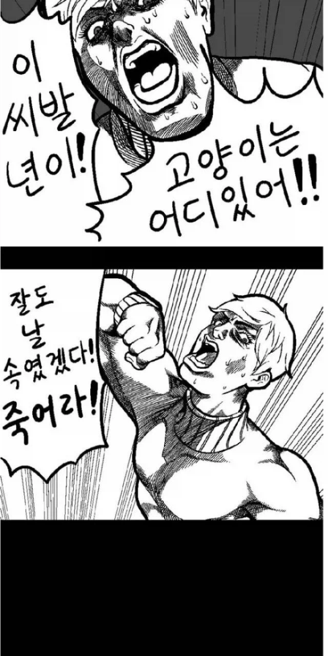 고양이 찾는 만화_12.webp