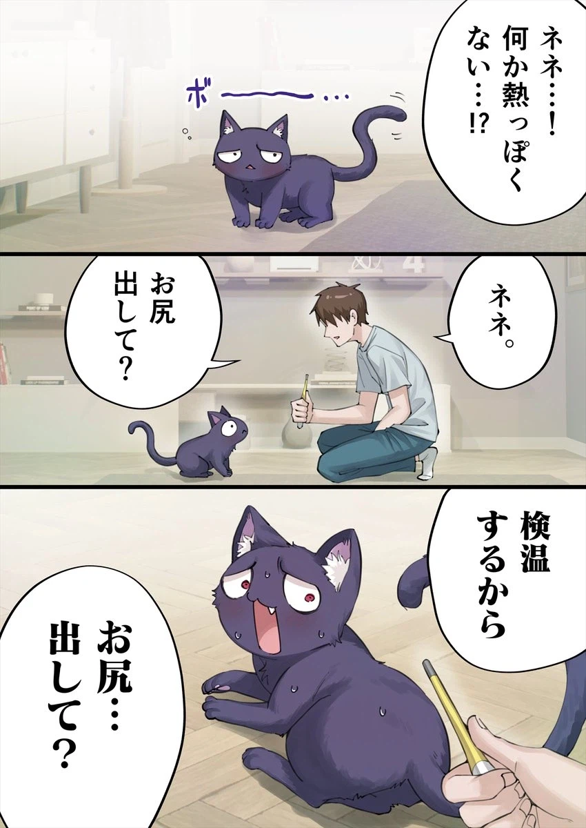 고양이 엉덩이를 막대기로 쑤시는.manhwa_1.webp