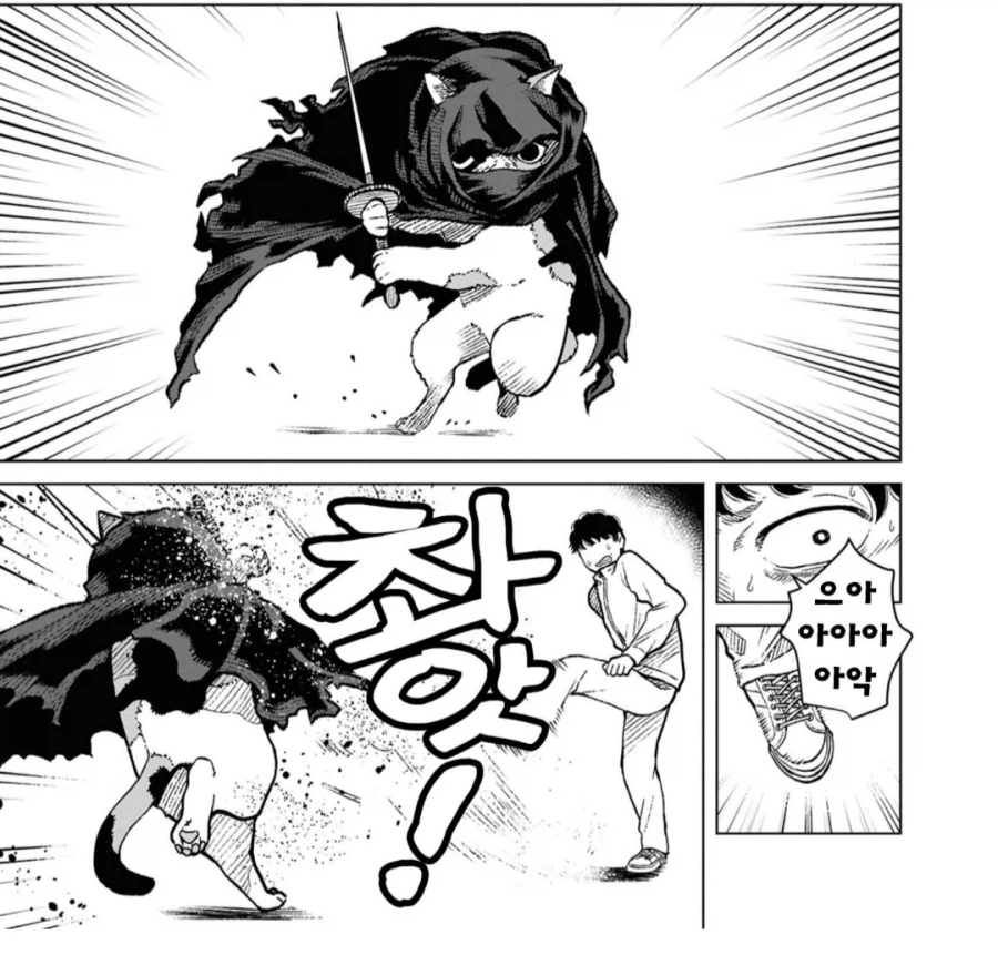 미리 말하지만 나는 절대로 망상증 환자가 아니다.manhwa_3.webp