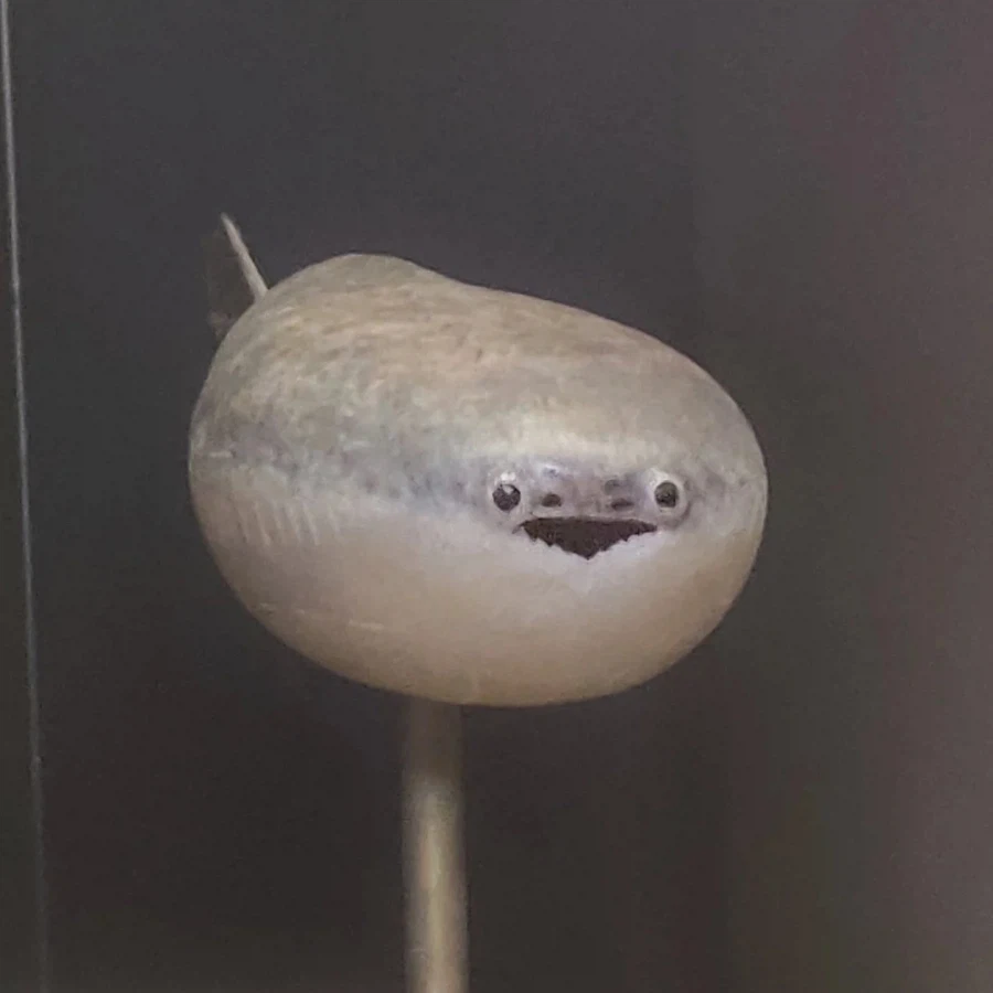 초카구야) 이 밈도 애니에 나왔었구나.._3.webp