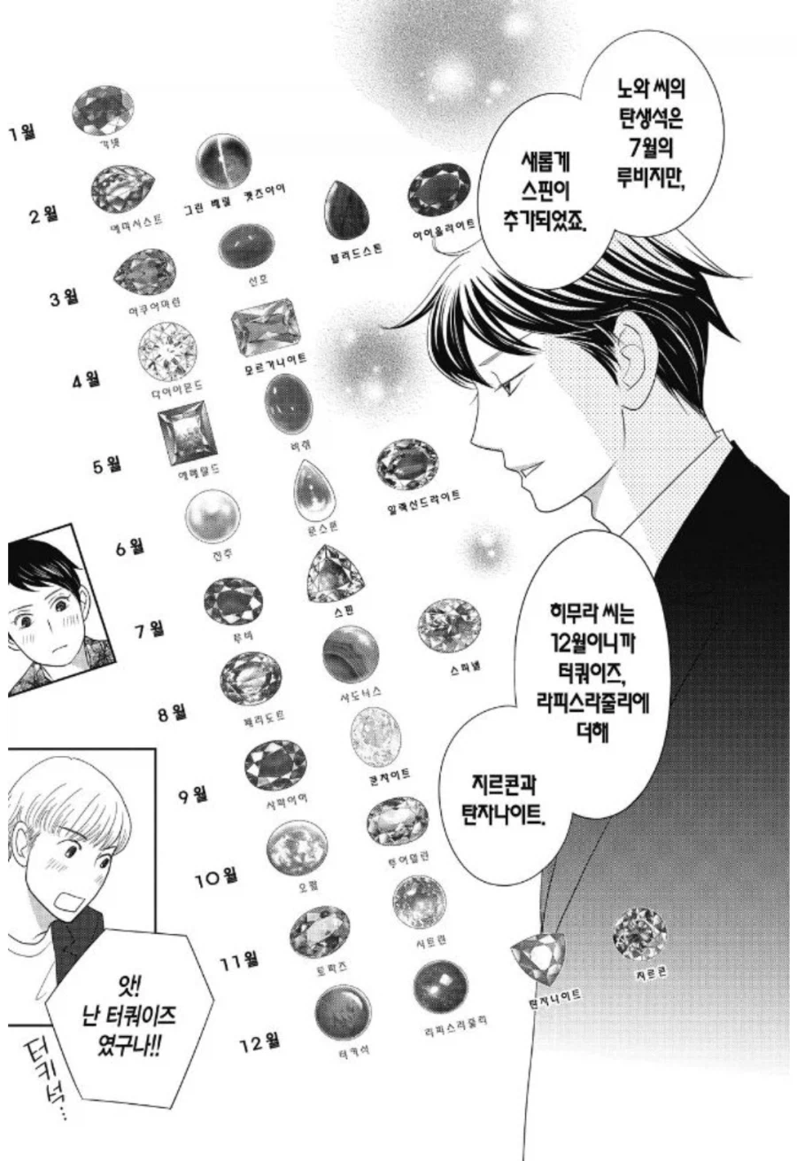 원래는 보석 회사의 상술로 시작된게 아니었던 탄생석.manhwa_1.webp