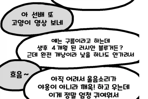 고양이 보러가는.manhwa_5.webp