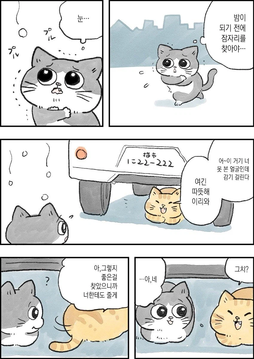 스압)아저씨가 고양이가 되는 만화_7.webp